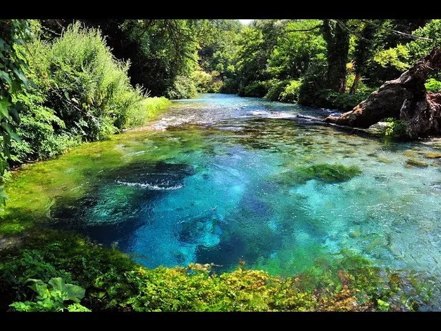 Blue Eye spring